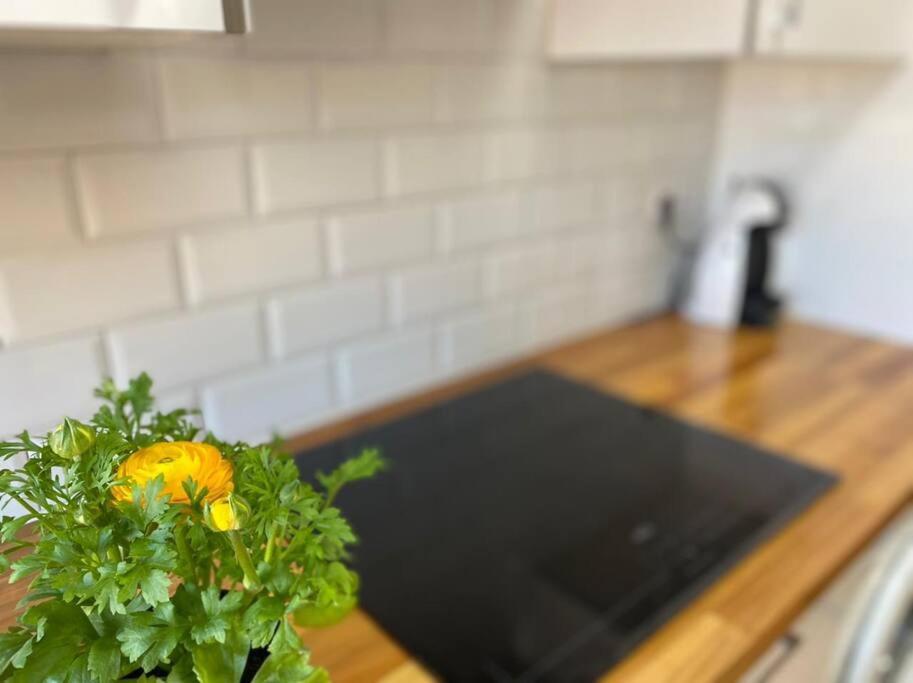 Apartamento Centrico-Parking Gratuito-Wifi Santender Kültér fotó